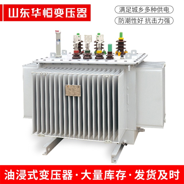 S13-10000/35德钦德钦德钦电力变压器